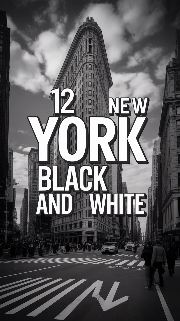 📸 12 New York Black And White