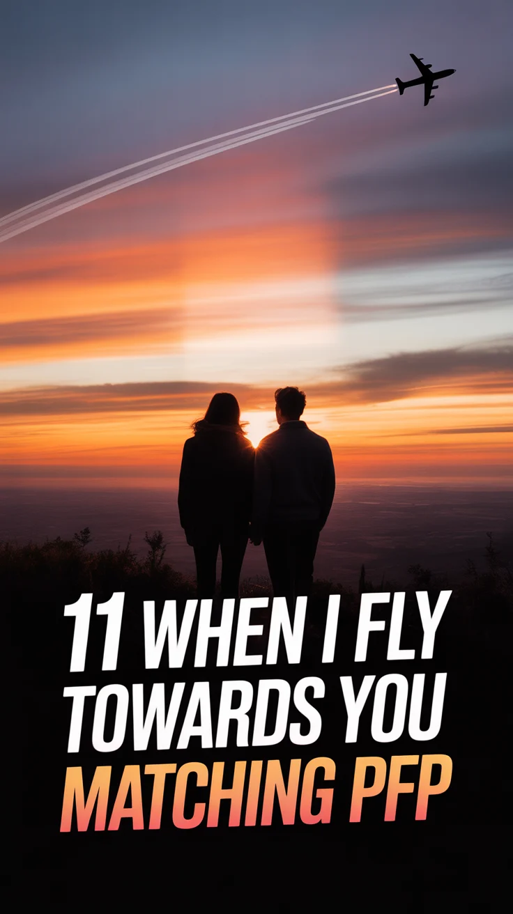 ✈️ 11 When I Fly Towards You Matching PFP