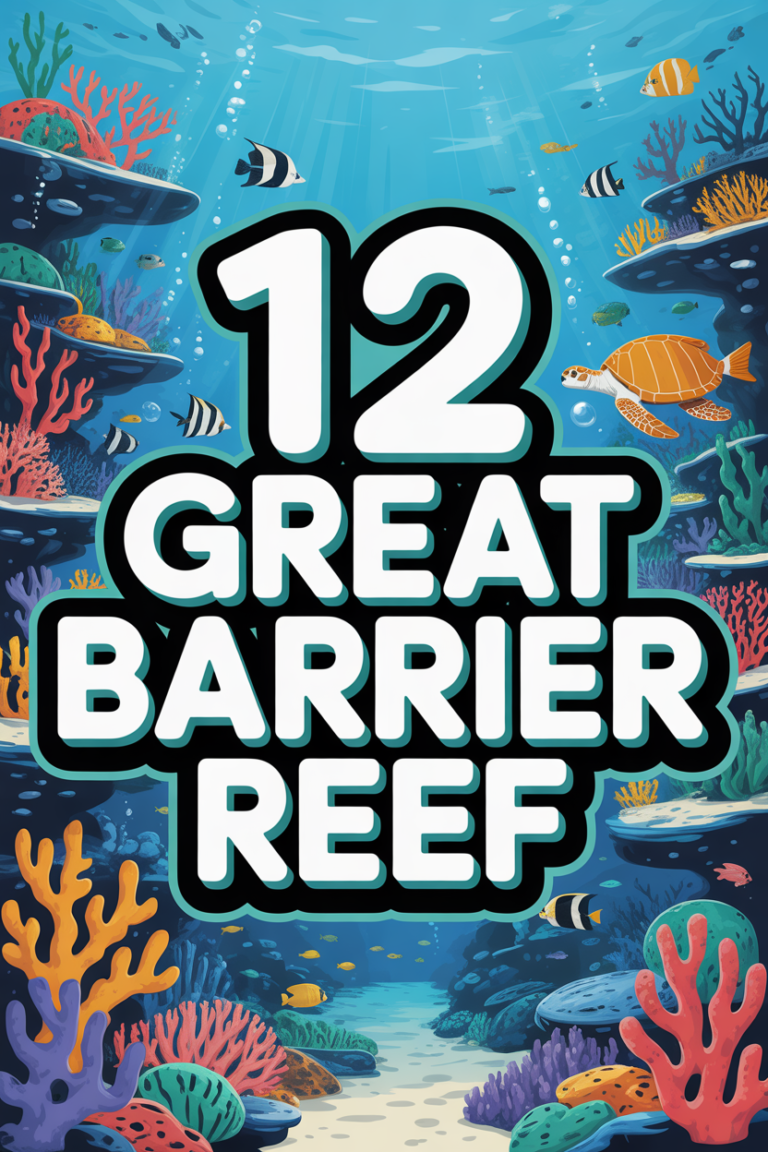🐠 12 Great Barrier Reef