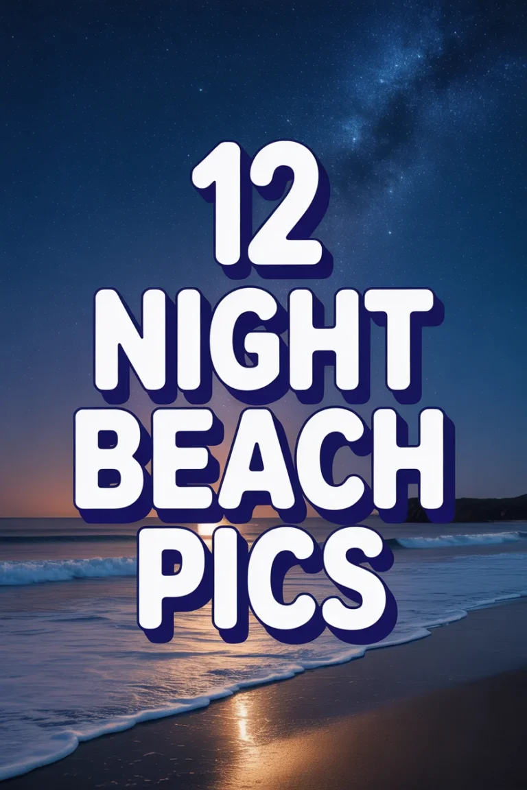 🌙 12 Night Beach Pics