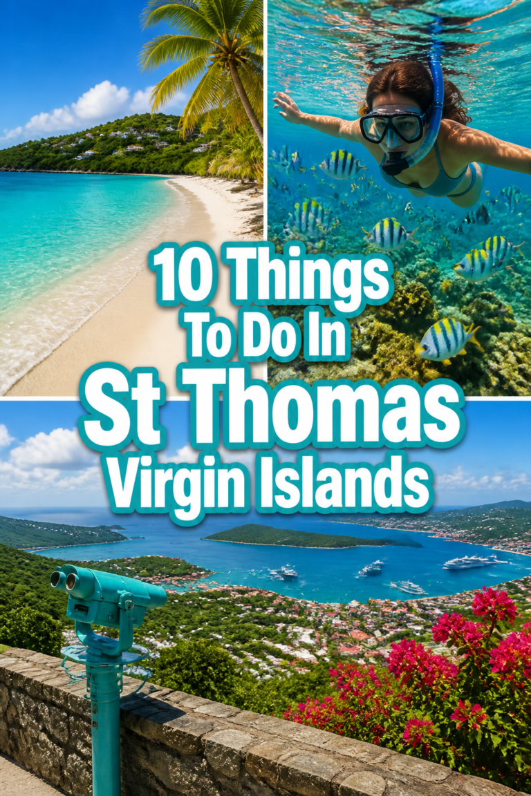 ☀️ 10 Things To Do In St Thomas Virgin Islands