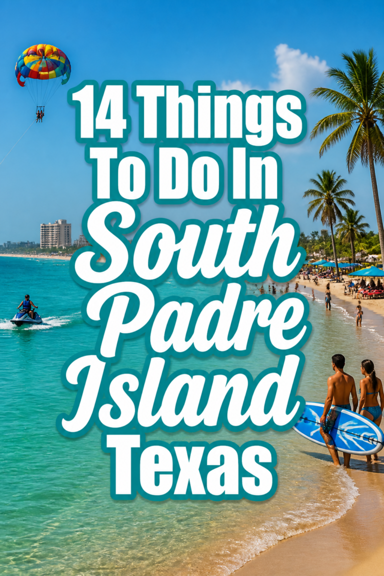 🌴 14 Things To Do In South Padre Island Texas